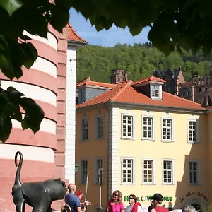 Hotel Zur Alten Brucke, Heidelberg